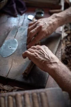 Cigar rolling or making by torcedor in cuba Foto stock