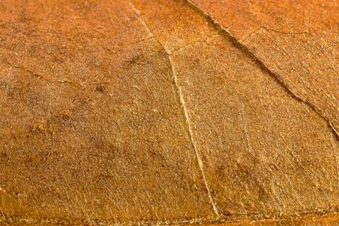 Cigar texture Stock Photos