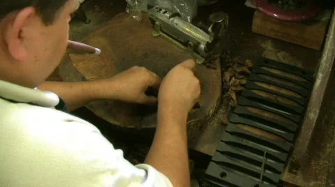 Cigar Tip Video stock 146137