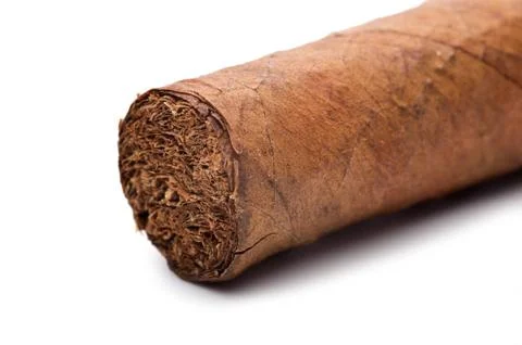 Cigar tip isolated on a white background Stock Photos