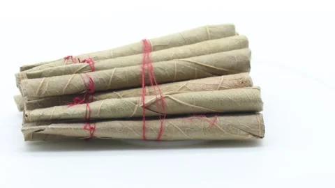 Cigar on white background Stock Footage 141261895