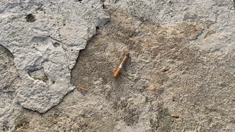 Cigarette abandoned on the ground Stock Footage 231630853