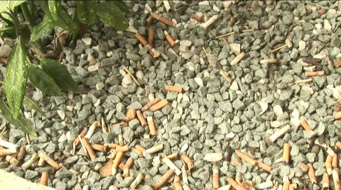 Cigarette addiction.. Stock Footage 774842