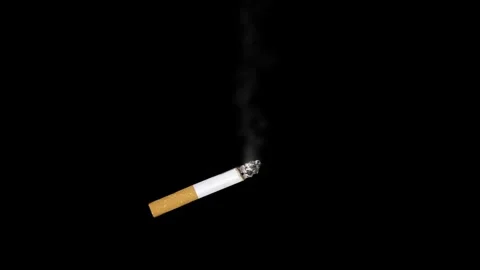Cigarette appears on black background and exudes smoke. Animated futage abou Stock Footage 273001575