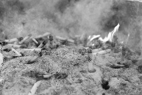 Cigarette ashes1 Stock Photos