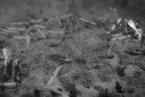 Cigarette ashes2 Stock Photos