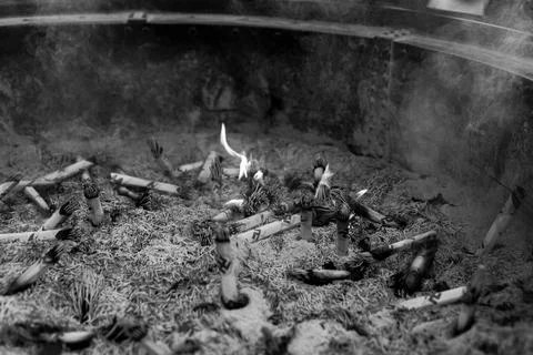 Cigarette ashes3 Stock Photos