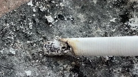 Cigarette in ashtray.smoking Video stock 144178865