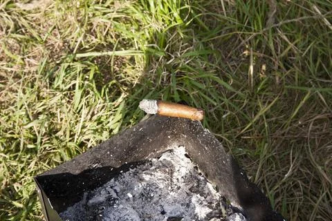 Cigarette on the bonfire in the garden. Close up. Stock Photos
