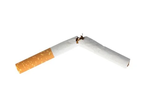 Cigarette broken isolated on white background Foto stock