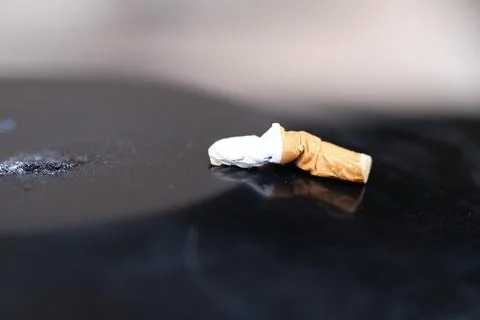 Cigarette Bud Stock Photos