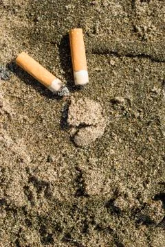 Cigarette buds left on a beach. Stock Photos