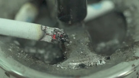 Cigarette Burning In Ashtray Stock Footage 109407949