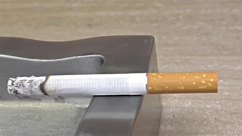 Cigarette Burning on Ashtray -   time lapse, speed 80x, close up, detail, macro 動画素材 82838929
