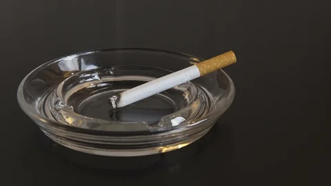 Cigarette burning into Ashtray Timelapse Stock Footage 98504287