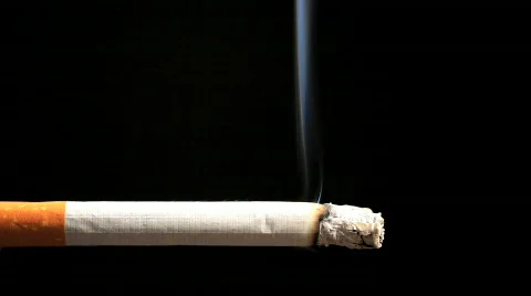 Cigarette burning timelapse 스톡 동영상 767279