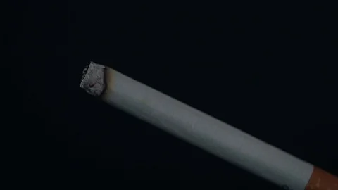 Cigarette burning timelapse Stock Footage 120416390