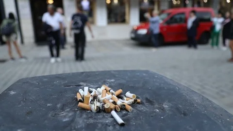 Cigarette buts on road Stock Footage 95177967