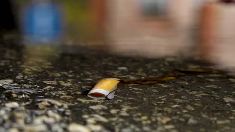 Cigarette butt and tree leaves soak in the puddle Vídeo Stock 221994577