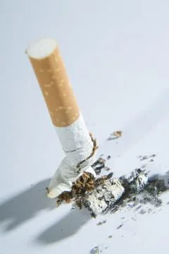 Cigarette butt in ashtray Stock Photos