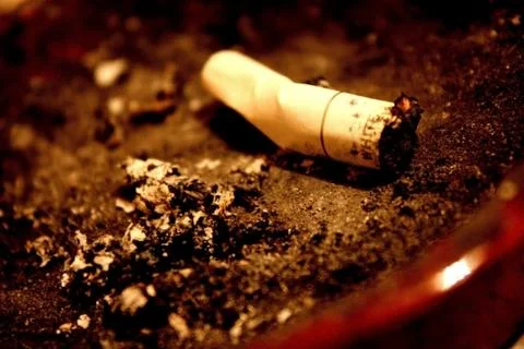 A cigarette butt in the ashtray Fotos Stock