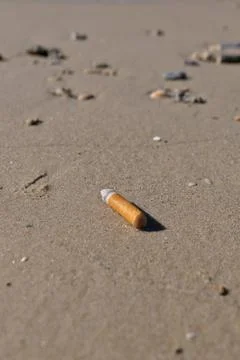 Cigarette butt on the beach. Stock-Fotos