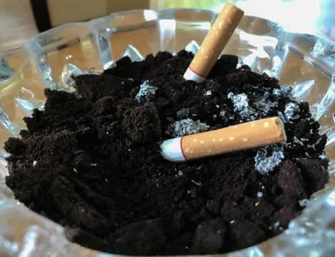 Cigarette butt with black soil. Stock Photos