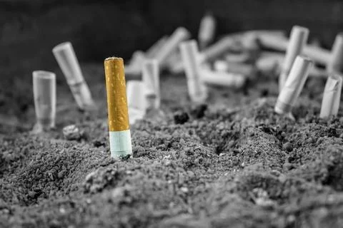 Cigarette butt concept Stock Photos