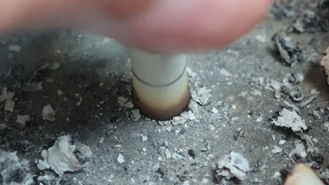 Cigarette butt extinguished in ashtray Stock-Footage 307865508