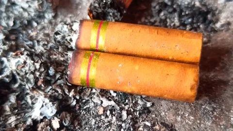 Cigarette butt Stock-Footage 251411423