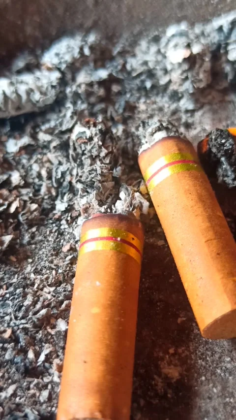 Cigarette butt Stock-Footage 251411440