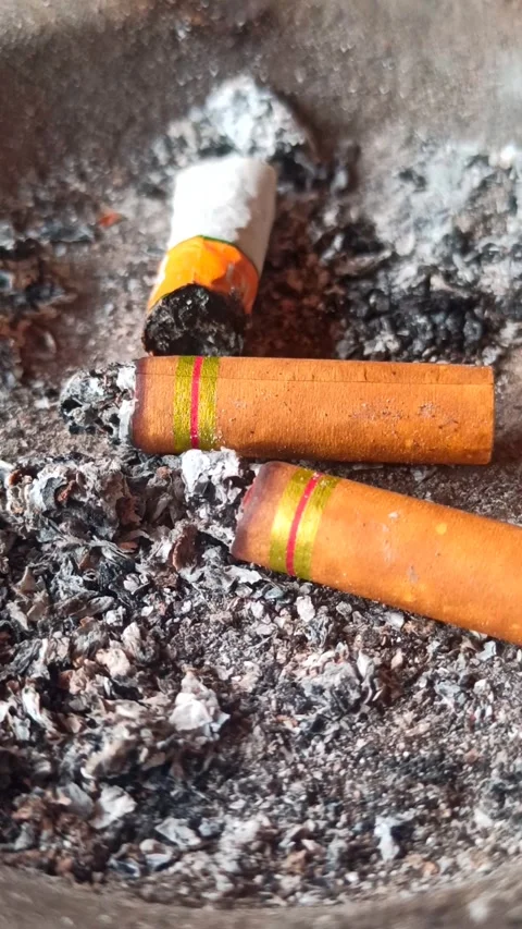 Cigarette butt Stock-Footage 251411454