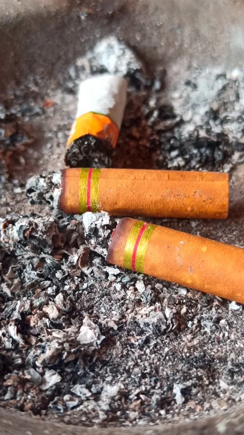 Cigarette butt Stock-Footage 251411457