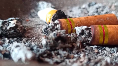 Cigarette butt Stock Footage 251411465