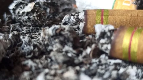 Cigarette butt Stock-Footage 251411473