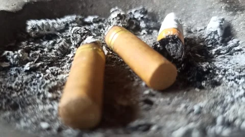 Cigarette butt Stock Footage 251411475
