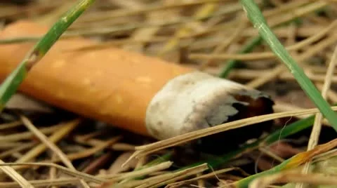 Cigarette Butt On Ground Macro Shot (HD) Stock Footage 11290008