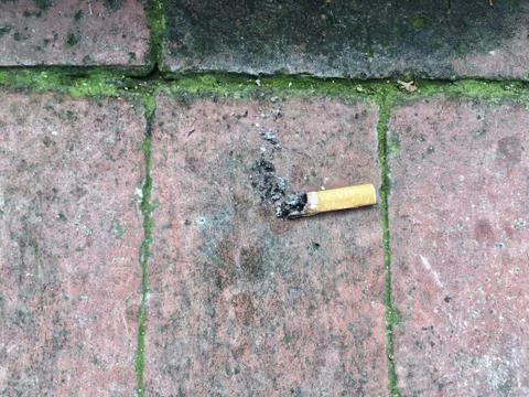 Cigarette butt on ground Foto stock
