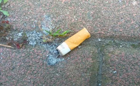 Cigarette butt lies on a tile with ashes Foto stock