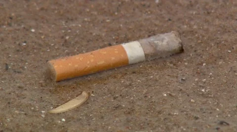 Cigarette Butt Litter on Beach Stock Footage 40747446