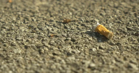 Cigarette Butt Litter Close up Rack Focus Stock Footage 42106110