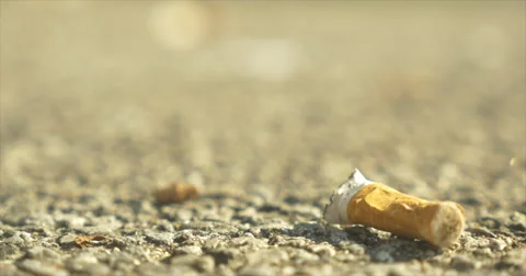 Cigarette Butt Litter Close up Rack Focus Slowly Stock Footage 42108165