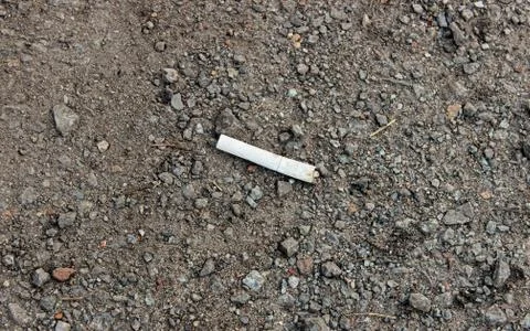 The cigarette butt is lying on the ground. Concept of environmental pollution 스톡 사진