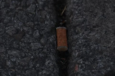 Cigarette butt lying in the gutter Stock Photos