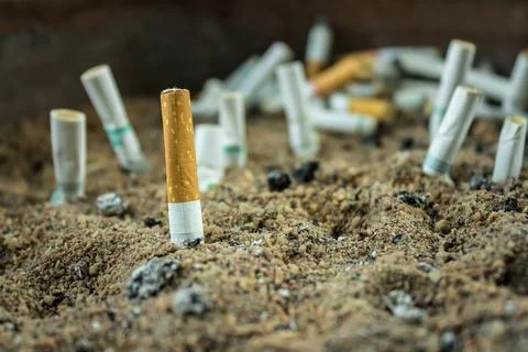 Cigarette butt Stock Photos