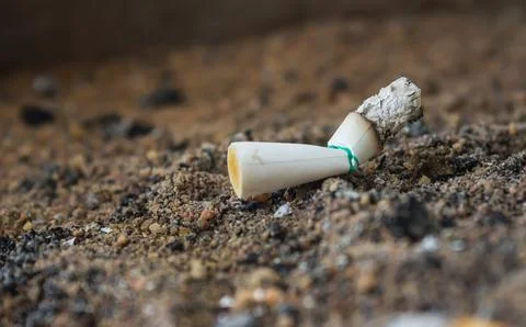 Cigarette butt Stock Photos