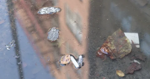 Cigarette Butt in Puddle, City Reflecting Vidéo 116846719