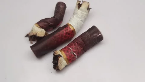 Cigarette butt rotating with rotation view Stock Footage 255518782