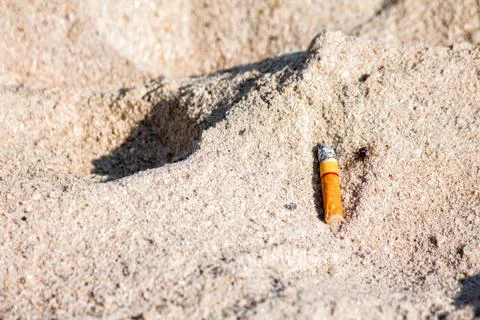 Cigarette butt on sand beach Stock Photos