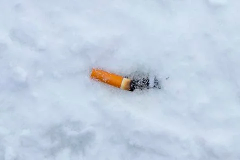 Cigarette butt on the snow. Stock Photos